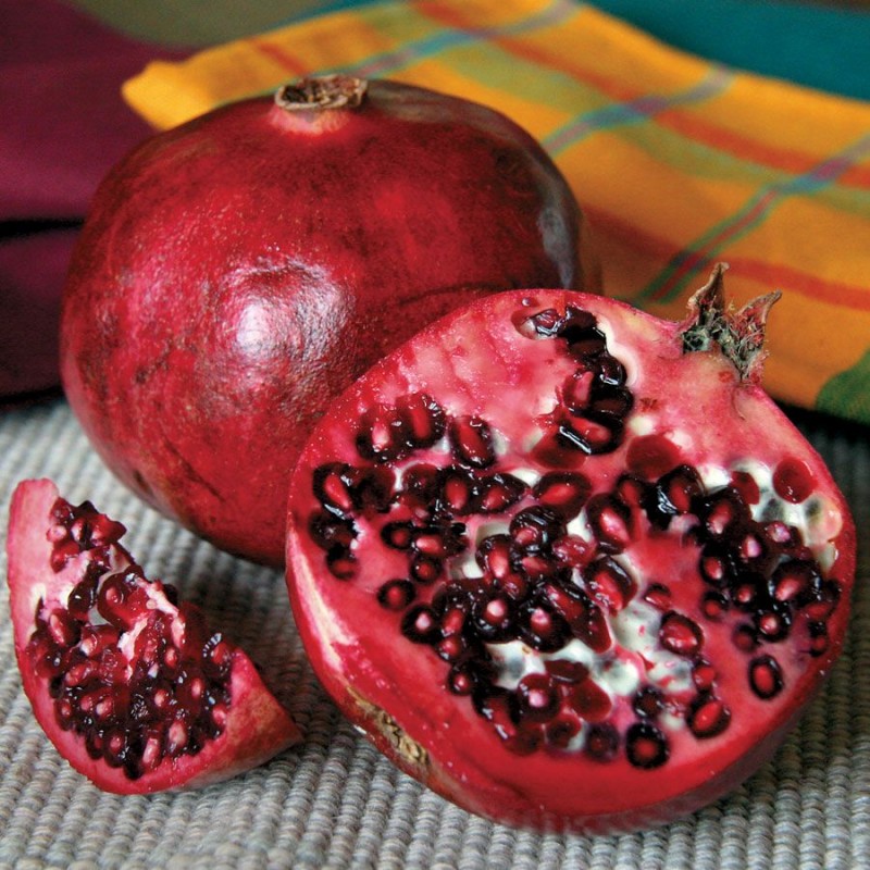 Pomegranate