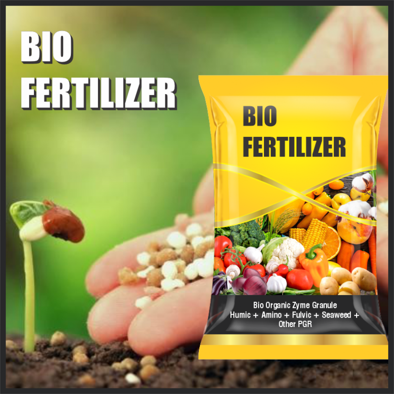 Bio Fertilizer